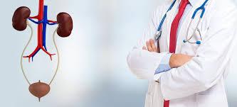 Urology Physician