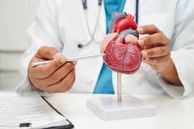 Heart Failure Cardiologist Provo UT