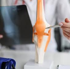 Outpatient Rheumatologist opportunity with IU Health Ball Memorial Physicians