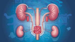 Urology | Indiana Near Dayton Ohio | Beautiful, Physician Led Health System