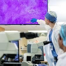 Surgical Pathologist