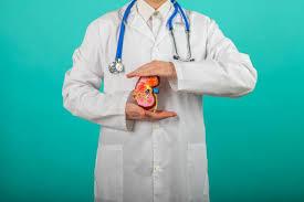 Physician Nephrology