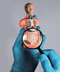 GENERAL SURGEON OR COLORECTAL SURGEON DUBAI