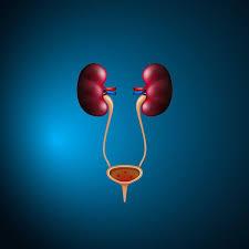 Urology | MI | $750K+ proven earnings | Residency Stipend & $100K signing bonus