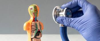 Caon City, Colorado SNF/ LTC Group Offering Flexible Schedule, No Call