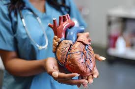 Cardiology w/Vascular Surgery Focus in Idaho Falls, Earn 600k-700k+