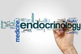 Endocrinology Group of 14 physicians | 54 Mid-Levels | East Coast Florida