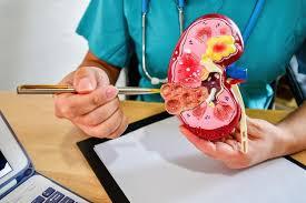 Urology | Northern California Coast | 4 Day Work Week