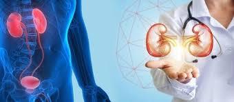 775K + Pension or Residency Stipend/Loan Repayment | Urology in Coastal Maryland