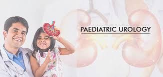 Pediatric Urologist