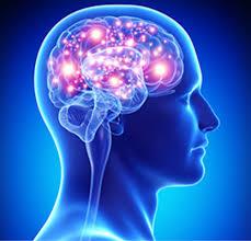 General Neurologist, Mather Hospital