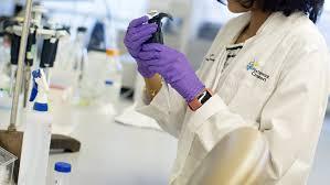 Director of Pediatric Research