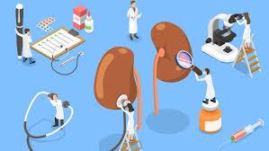 Nephrologist Opportunity - Wichita, KS (Partnership Opportunity + Great Work/Life Balance)