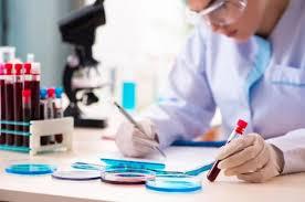 Director of Malignant Hematology Program