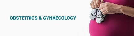 Obstetrician-Gynecologist