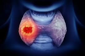 Endocrinologist / Chief of Endocrinology East Region