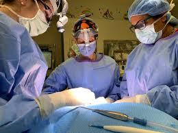 Comprehensive Otolaryngologist/ Head and Neck surgery