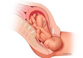 Montana OB/GYN | $325K + Free Housing | 10 Shifts/Month