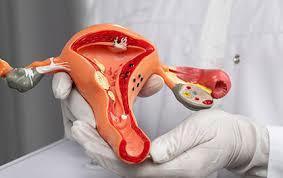 Physician, Obstetrics-Gynecology (Castro Valley, CA)