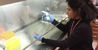 Allergy & Immunology - Physician/Faculty - Department of Pulmonary, Allergy and Critical Care Medicine